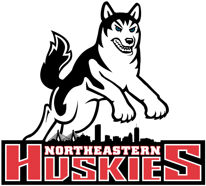 Northeastern Huskies 2001-2006 Primary Logo diy fabric transfer